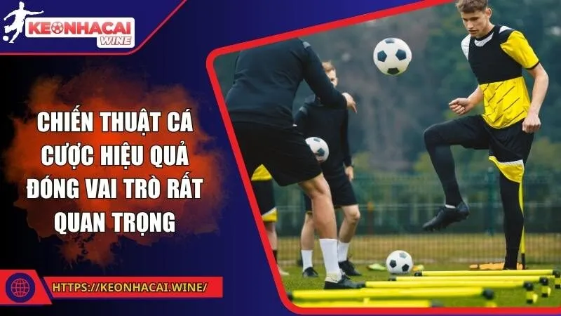 Chiến thuật cá cược hiệu quả đóng vai trò rất quan trọng