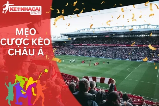 Các mẹo đỉnh cao để tân thủ áp dụng được ngay