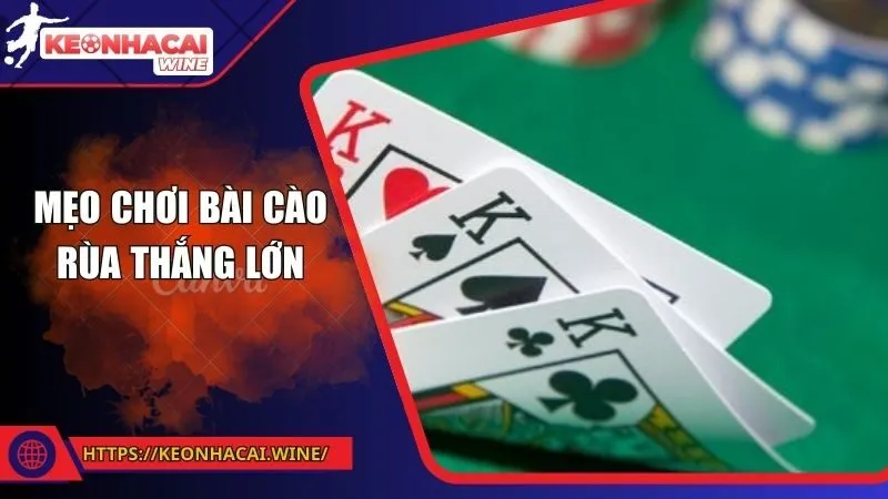 Thắng lớn với các mẹo đánh bài cào rùa