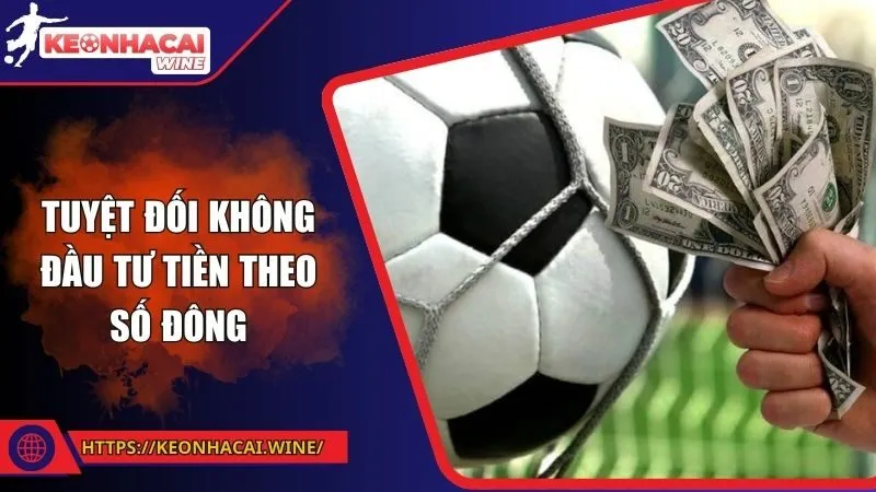 Tuyệt đối không đầu tư tiền theo số đông