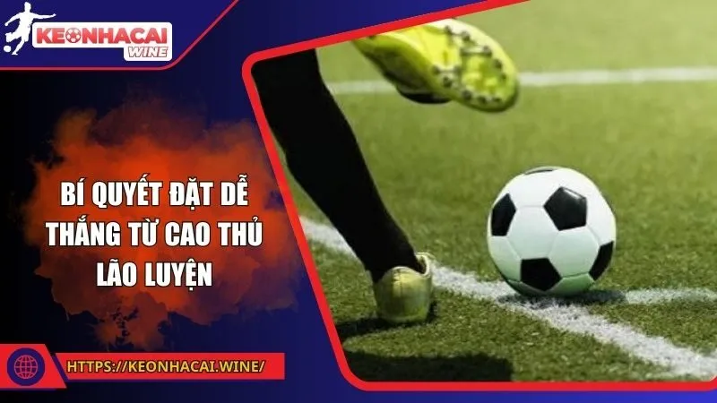 Bí quyết đặt dễ thắng từ cao thủ lão luyện