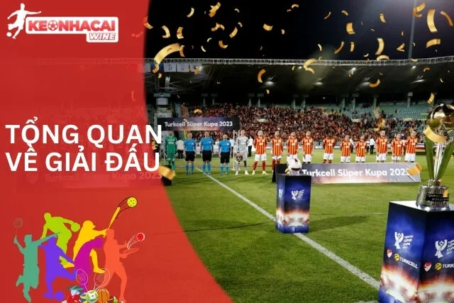 Tổng quan về giải đấu